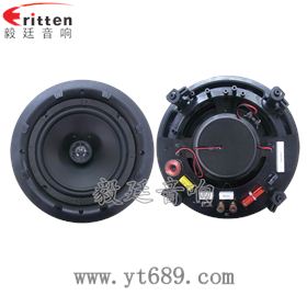 8''250w 重低音喇叭正反面