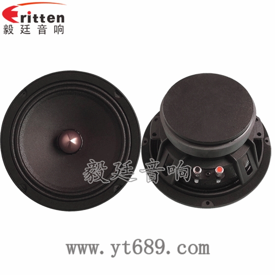 8''250w 重低音喇叭正反面