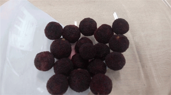 毅廷喇叭廠勇敢邁出第一步就是我們最大勝得 &mdash;牛商爭霸死黨互動學習共成長