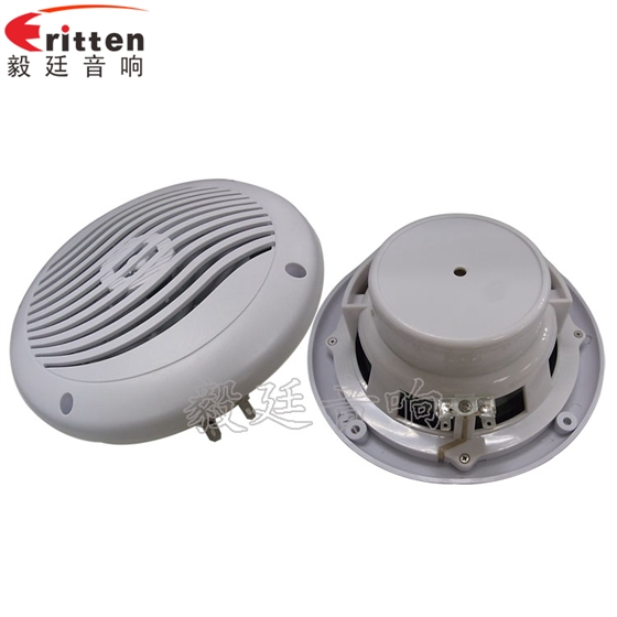 8''中低音舞臺音箱喇叭廠家正反面