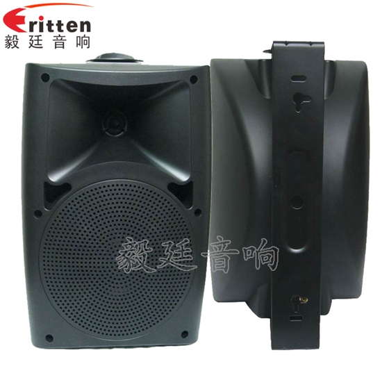 8''中低音舞臺音箱喇叭廠家正反面