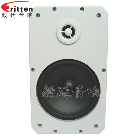 10寸專業音箱喇叭
