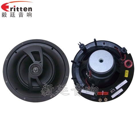 2路8寸吊頂喇叭