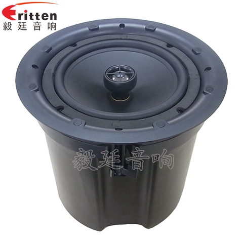 高音可旋轉(zhuǎn)8寸天花板喇叭