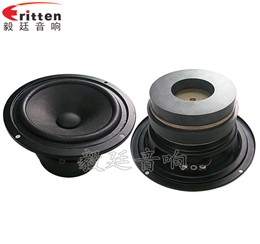 145mm30W藍牙音響喇叭