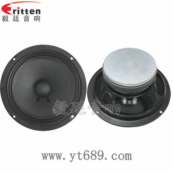 8''中低音舞臺(tái)音箱喇叭廠家正反面