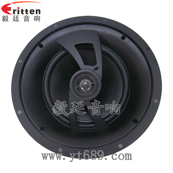 8''250w 重低音喇叭正面圖