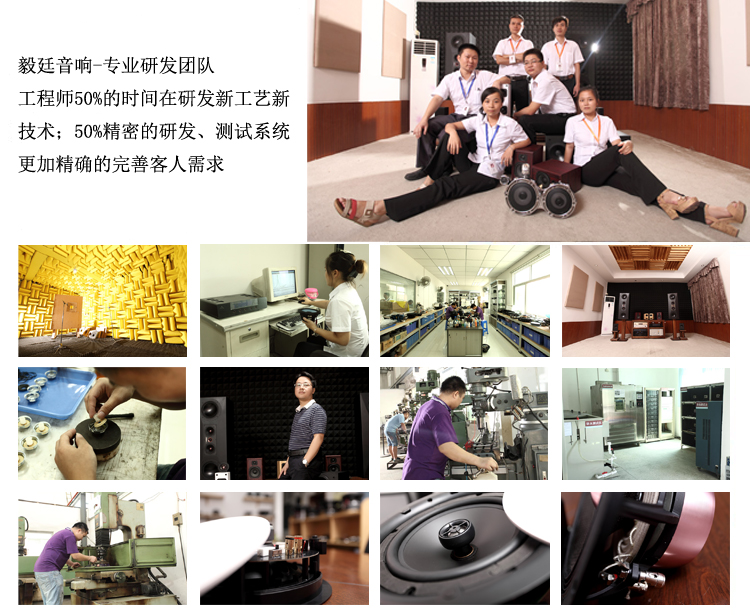 31mm全頻紙盆學習機喇叭研發(fā)團隊