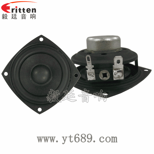 2.5寸20芯10瓦內(nèi)磁全頻喇叭正反面
