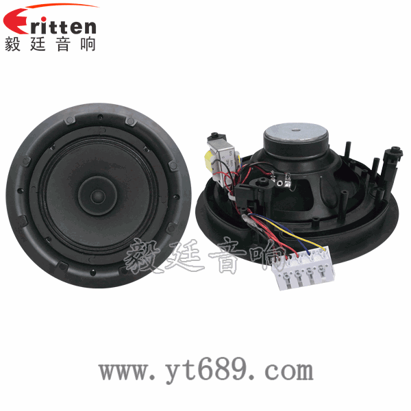 8寸25芯20瓦天花全頻喇叭正反面