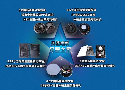 揚(yáng)聲器喇叭