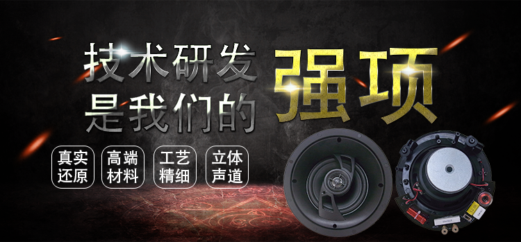 6.5寸吸頂式天花喇叭