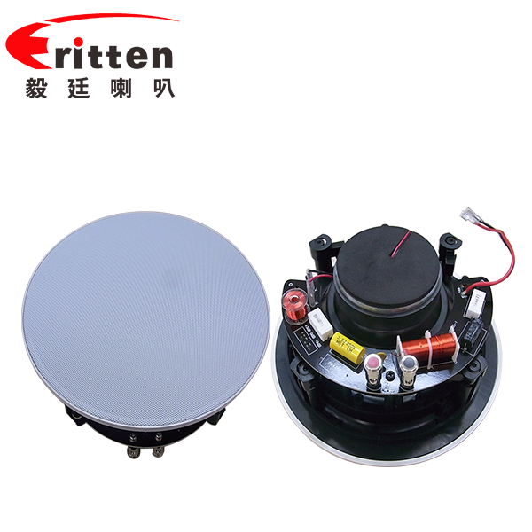 6.5寸天花喇叭廠(chǎng)家